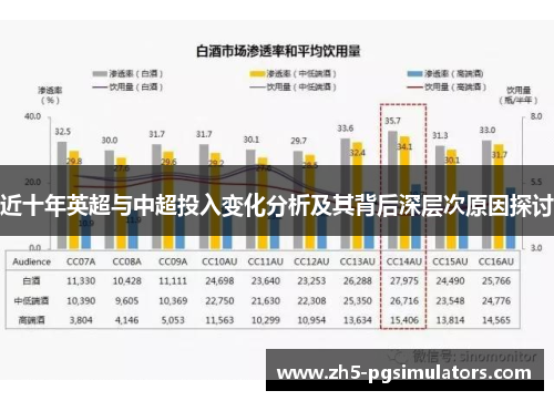 近十年英超与中超投入变化分析及其背后深层次原因探讨